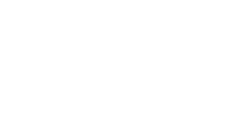 Nova School of Business and Economics